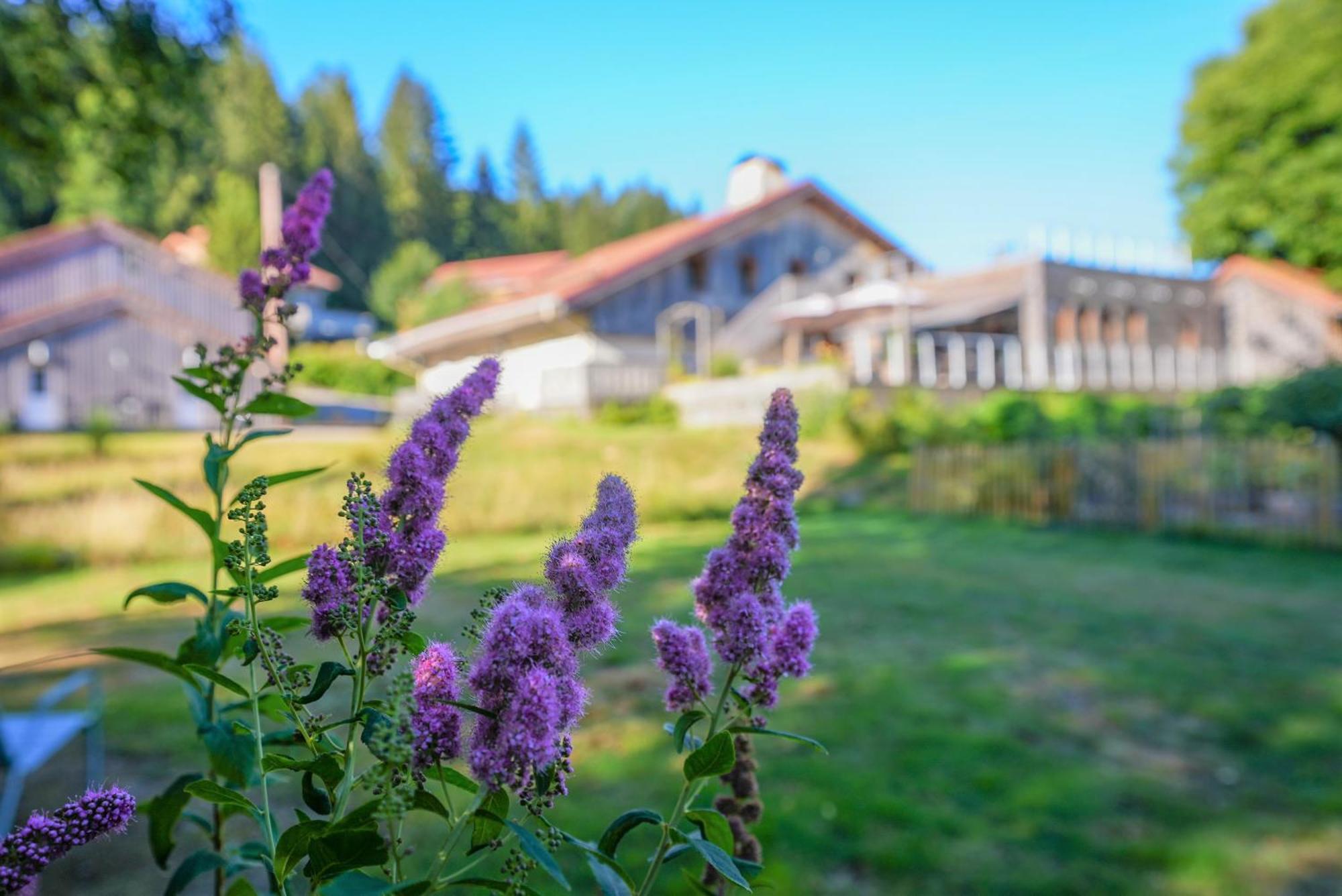 ג'רארדמר Auberge De La Poulciere מראה חיצוני תמונה